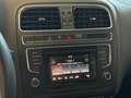 Volkswagen Polo VW POLO 1.4cc 90CV TDI 5Porte Grigio - thumbnail 10