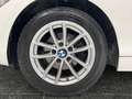 BMW 114 114d 1.6D 95CV Joy Bianco - thumbnail 6