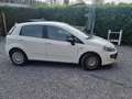 Fiat Punto Evo 1.3 16V Multijet Dynamic Start&Stop Wit - thumbnail 2