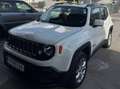 Jeep Renegade Renegade 1.6 MultiJet Longitude Adventure Edition - thumbnail 3