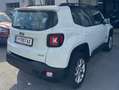Jeep Renegade Renegade 1.6 MultiJet Longitude Adventure Edition - thumbnail 6