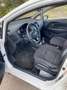 Kia Rio Rio 5p 1.1 crdi Active Bianco - thumbnail 7
