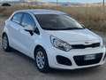 Kia Rio Rio 5p 1.1 crdi Active Bianco - thumbnail 4