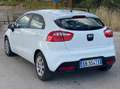 Kia Rio Rio 5p 1.1 crdi Active Bianco - thumbnail 2