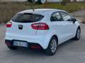Kia Rio Rio 5p 1.1 crdi Active Bianco - thumbnail 3