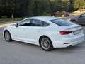 Audi A5 Sportback 40 TDI S tronic Sehr gepflegt - thumbnail 5