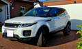 Land Rover Range Rover Evoque Range Rover Evoque TD4 Aut. Black-Edition Weiß - thumbnail 1