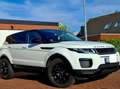 Land Rover Range Rover Evoque Range Rover Evoque TD4 Aut. Black-Edition Weiß - thumbnail 2