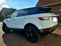 Land Rover Range Rover Evoque Range Rover Evoque TD4 Aut. Black-Edition Weiß - thumbnail 3