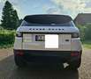 Land Rover Range Rover Evoque Range Rover Evoque TD4 Aut. Black-Edition Weiß - thumbnail 4