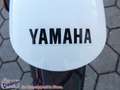 Yamaha XSR 125 2024 = Führerschein Promotion Alb - thumbnail 11