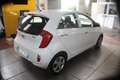 Kia Picanto 1.0 12V EcoGPL 5 porte *Garantita* Wit - thumbnail 7