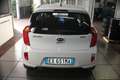 Kia Picanto 1.0 12V EcoGPL 5 porte *Garantita* Wit - thumbnail 6