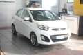 Kia Picanto 1.0 12V EcoGPL 5 porte *Garantita* Wit - thumbnail 2