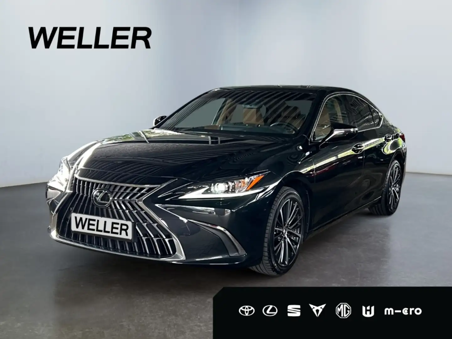 Lexus ES 300 h Business Line *Pano*LED*CarPlay*el Sitze* Noir - 1