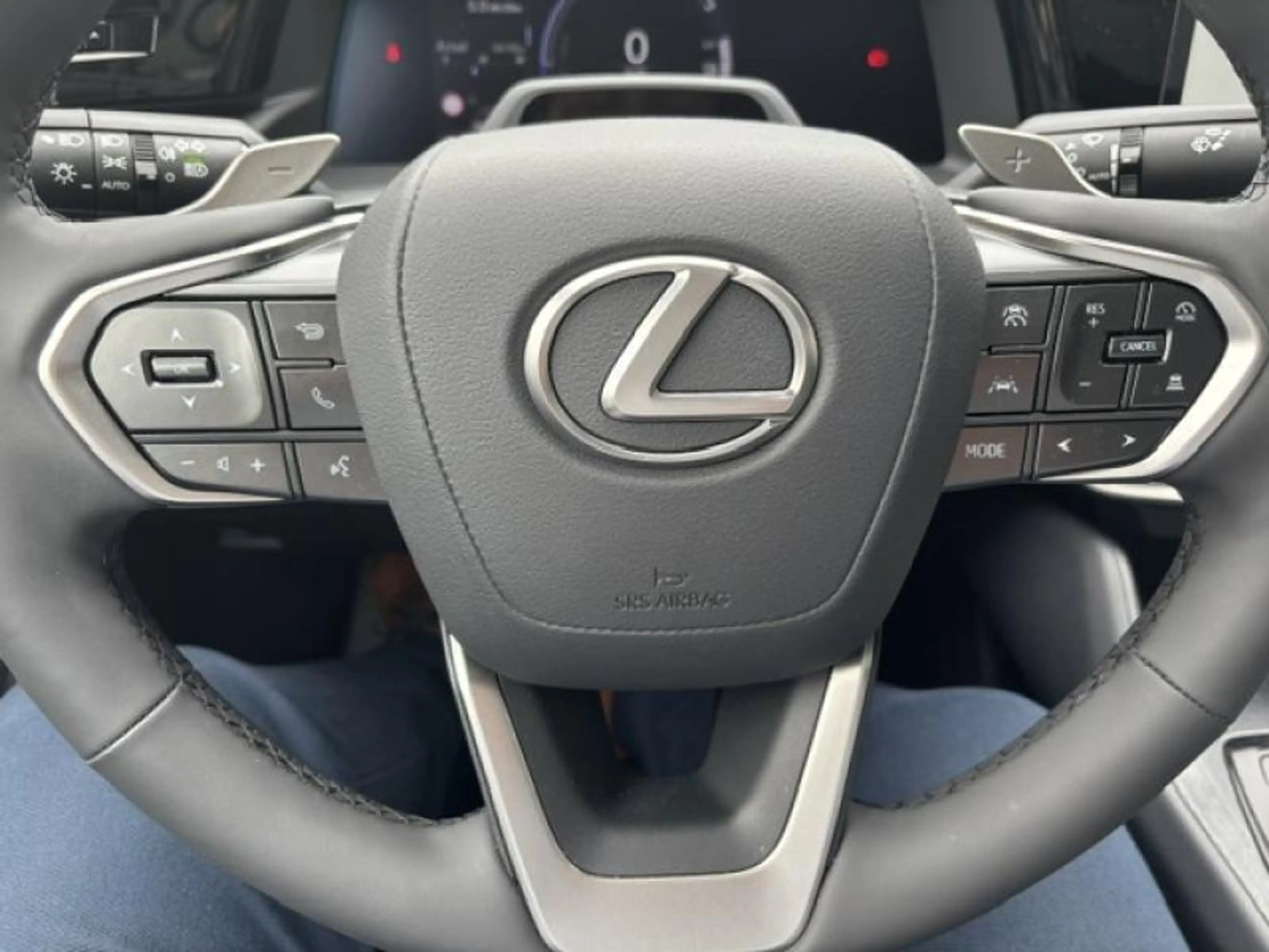 Lexus RZ EXECUTIVE — photo 10
