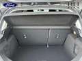 Ford Fiesta 1.0 Flexifuel 95ch Active X Gris - thumbnail 6