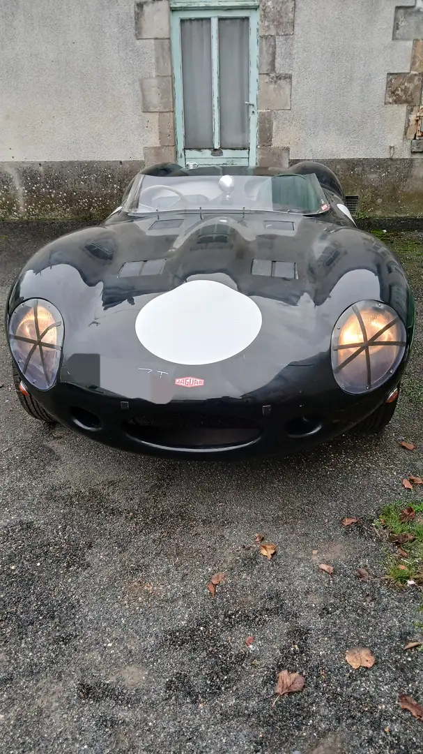 Jaguar D-Type - 2