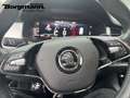 Skoda Kodiaq Tour 2.0 TSI AHK - E-Heckklappe - ACC - LED - Navi Schwarz - thumbnail 15