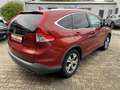 Honda CR-V 2.0i-VTEC 4WD Automatik Lifestyle Rot - thumbnail 3