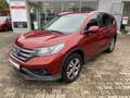 Honda CR-V 2.0i-VTEC 4WD Automatik Lifestyle Rot - thumbnail 2