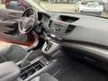 Honda CR-V 2.0i-VTEC 4WD Automatik Lifestyle Rot - thumbnail 13