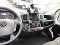 Opel Movano CDTI 2,2 l CDTI   L2H2  AdBlue Kima  LKW Blanc - thumbnail 14