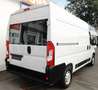 Opel Movano CDTI 2,2 l CDTI   L2H2  AdBlue Kima  LKW Blanc - thumbnail 5