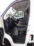 Opel Movano CDTI 2,2 l CDTI   L2H2  AdBlue Kima  LKW Blanc - thumbnail 10