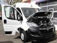 Opel Movano CDTI 2,2 l CDTI   L2H2  AdBlue Kima  LKW Blanc - thumbnail 26
