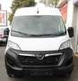 Opel Movano CDTI 2,2 l CDTI   L2H2  AdBlue Kima  LKW Blanc - thumbnail 3