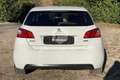 Peugeot 308 308 BlueHDi 120 S&S Allure Weiß - thumbnail 14