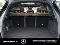 Mercedes-Benz GLE 580 4M AMG PANO AHK 360-KAM PREM.+ PAKET Grün - thumbnail 15