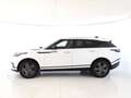 Land Rover Range Rover Velar Range Rover Velar 2.0D I4 204 CV R-Dynamic S - IV Bianco - thumbnail 13