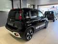 Fiat Panda CROSS PANDINA 1.0 FIREFLY HYBRID Nero - thumbnail 6