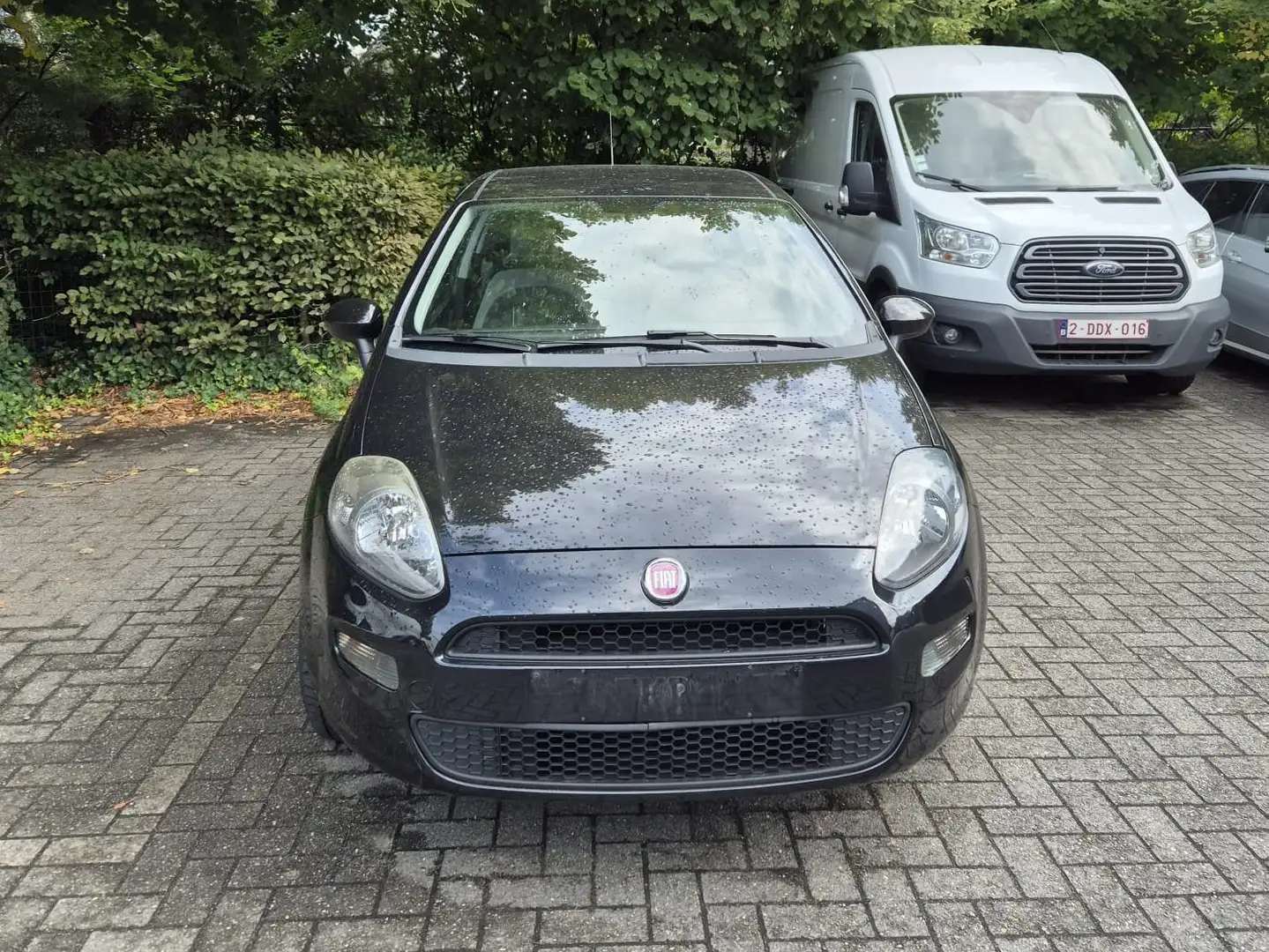 Fiat Punto REEDS GEKEURD Siyah - 1
