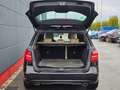 Mercedes-Benz B 200 B *Sport Paket*8Fach Berreift Noir - thumbnail 8