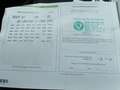 Skoda Octavia Combi 2.0 TDI DSG RS Panorama+Teilleder+TÜV NEU Wit - thumbnail 18
