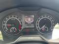 Skoda Octavia Combi 2.0 TDI DSG RS Panorama+Teilleder+TÜV NEU Wit - thumbnail 13