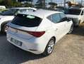 SEAT Leon 2.0 tdi Business 115cv Bianco - thumbnail 4