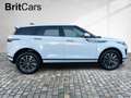 Land Rover Range Rover Evoque D165 SE Blanc - thumbnail 6