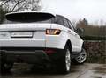 Land Rover Range Rover Evoque Si4 HSE Panoramadak / HUD/ Trekhaak Wit - thumbnail 10