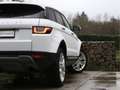 Land Rover Range Rover Evoque Si4 HSE Panoramadak / HUD/ Trekhaak Wit - thumbnail 11