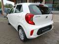 Kia Picanto PICANTO 1.0 M/T ED7 EMOTION Weiß - thumbnail 8