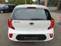 Kia Picanto PICANTO 1.0 M/T ED7 EMOTION Weiß - thumbnail 7