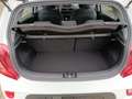 Kia Picanto PICANTO 1.0 M/T ED7 EMOTION Weiß - thumbnail 21