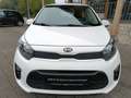 Kia Picanto PICANTO 1.0 M/T ED7 EMOTION Weiß - thumbnail 4