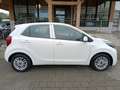 Kia Picanto PICANTO 1.0 M/T ED7 EMOTION Weiß - thumbnail 9