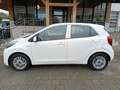 Kia Picanto PICANTO 1.0 M/T ED7 EMOTION Weiß - thumbnail 10