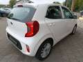 Kia Picanto PICANTO 1.0 M/T ED7 EMOTION Weiß - thumbnail 6